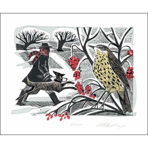 Angela Harding Winter Thrush Greetings Card AH1631X