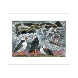 Angela Harding Fair Isle Puffins at the North Lighthouse AH3255