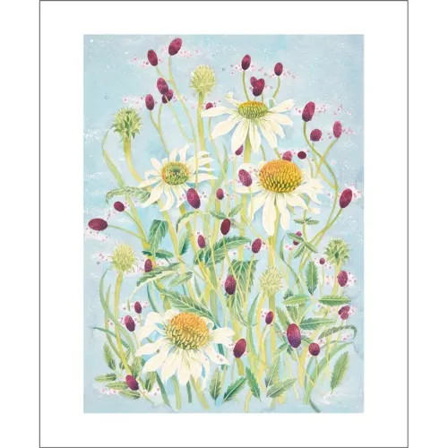 Angie Lewin Echinacea and Sanguisorba Greetings Card AL3229