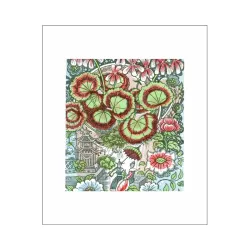 Angie Lewin Pelargonium Greetings Card AL3254