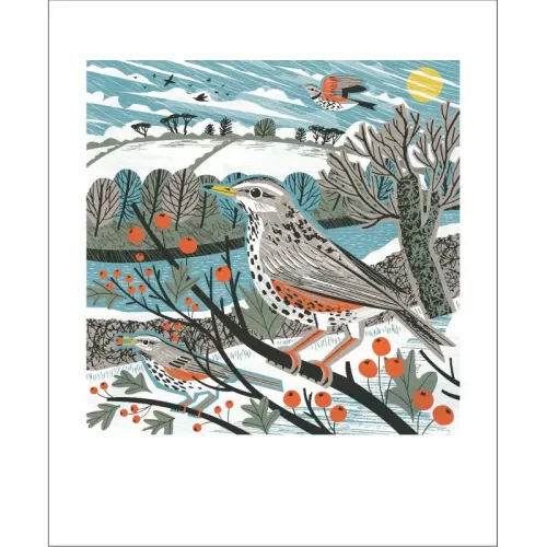 Matt Johnson Redwing Haws Greetings Card MT3246X