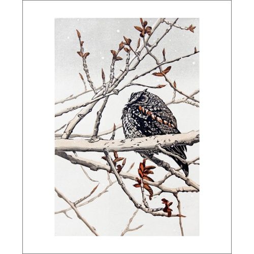 Sherrie York Waiting for Spring Greetings Card SH3010X