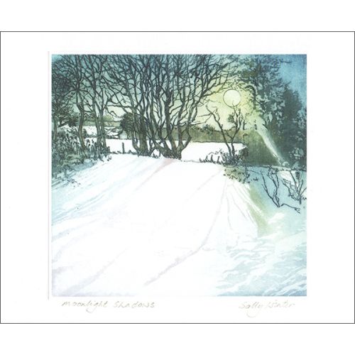 Moonlight Shadows Greetings Card by Sally Winter SW1634