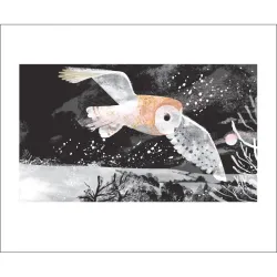 Tim Hopgood Winter Owl Greetings Card TM3243X