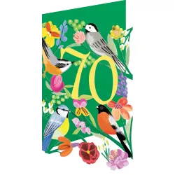 Roger la Borde Birdhaven 70th Birthday Card GC2400